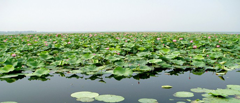 胡市龙骨湖.jpg 胡市龙骨湖.jpg